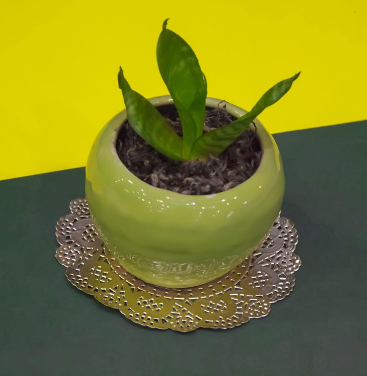 کاغذ گیپور طلایی ۱۱.۵ سانتی