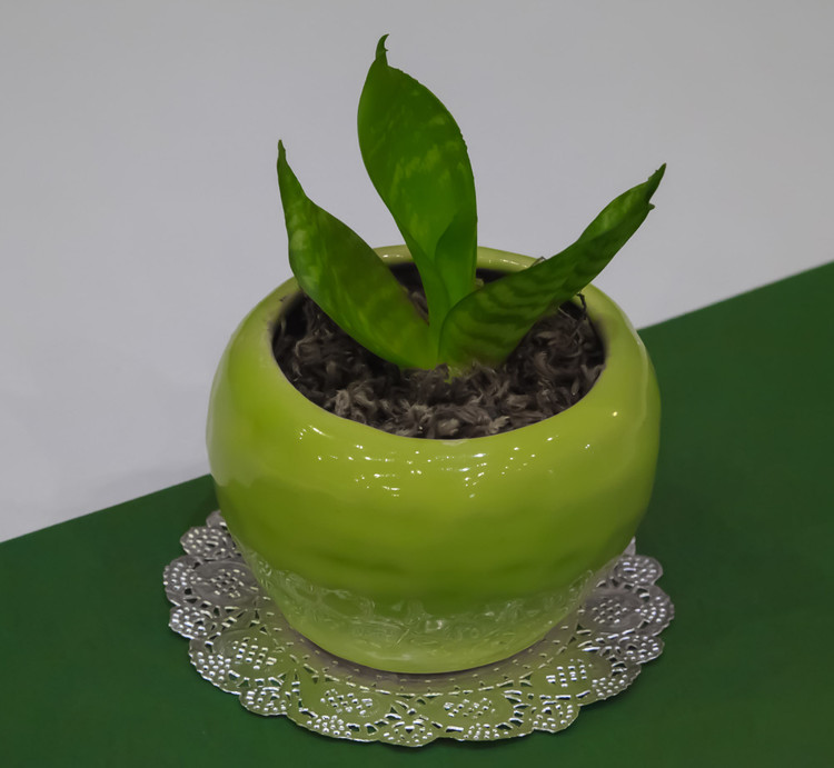 کاغذ گیپور نقره ای ۱۱.۵ سانتی